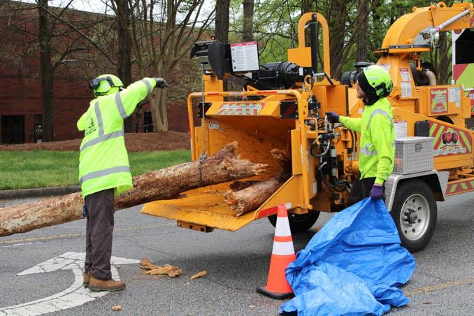 Commercial tree service covers all tree care and removal work on commercial