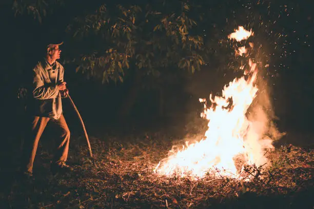 Fire mitigation is not the same as clear cutting your property. 