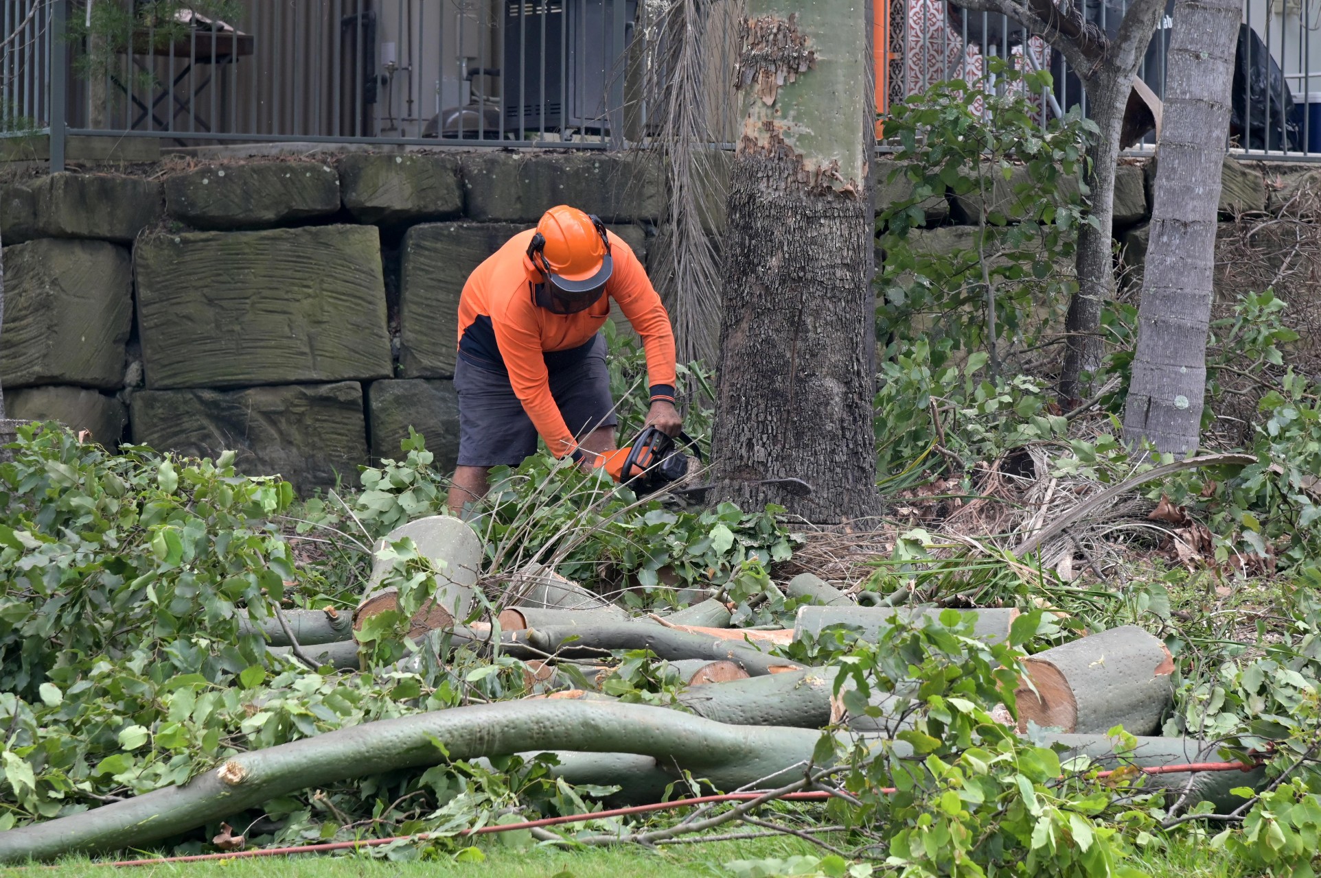 Professional arborist removing a damaged tree during residential tree service in Brighton, Colorado