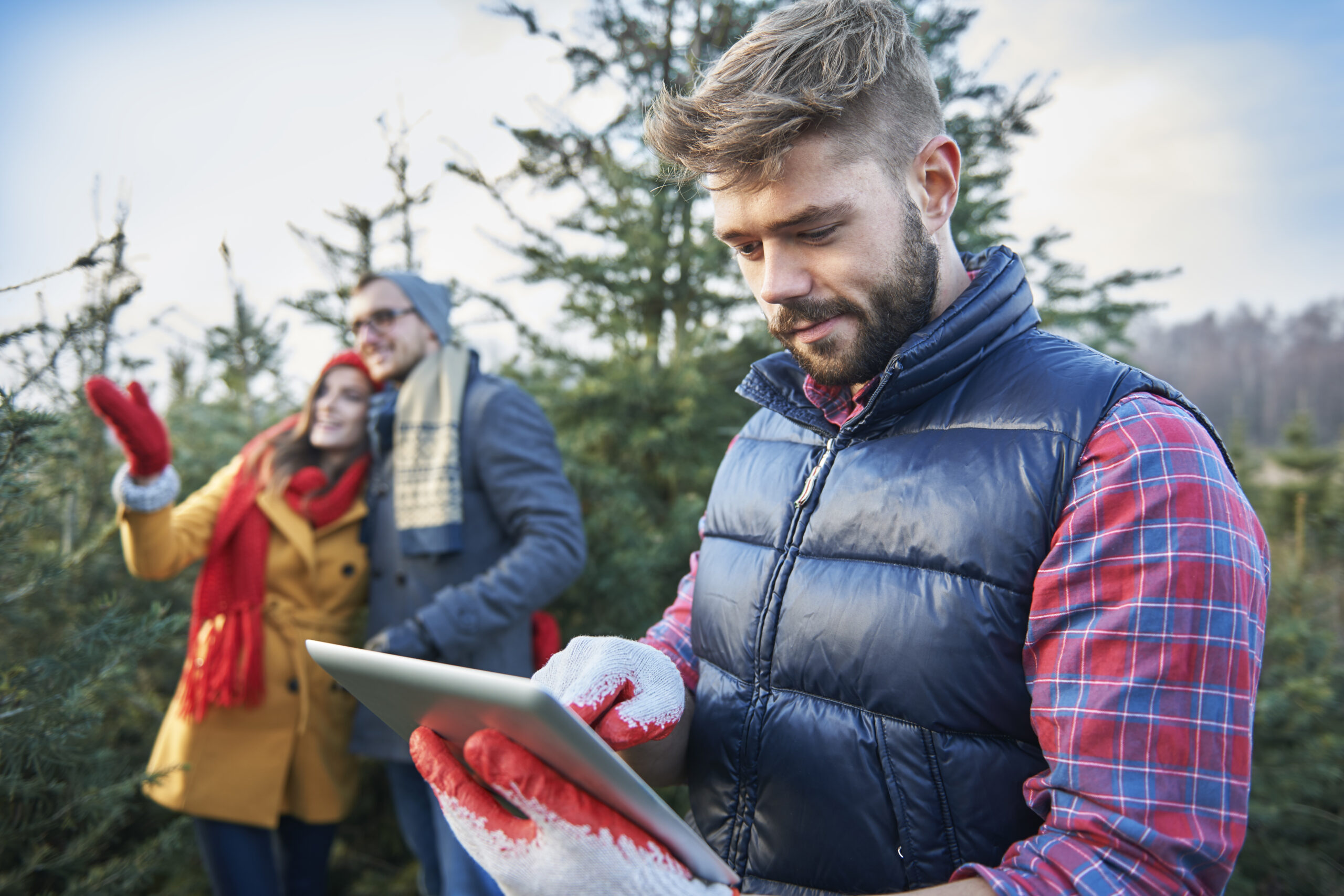 Professional tree care services in Longmont are most often needed by homeowners