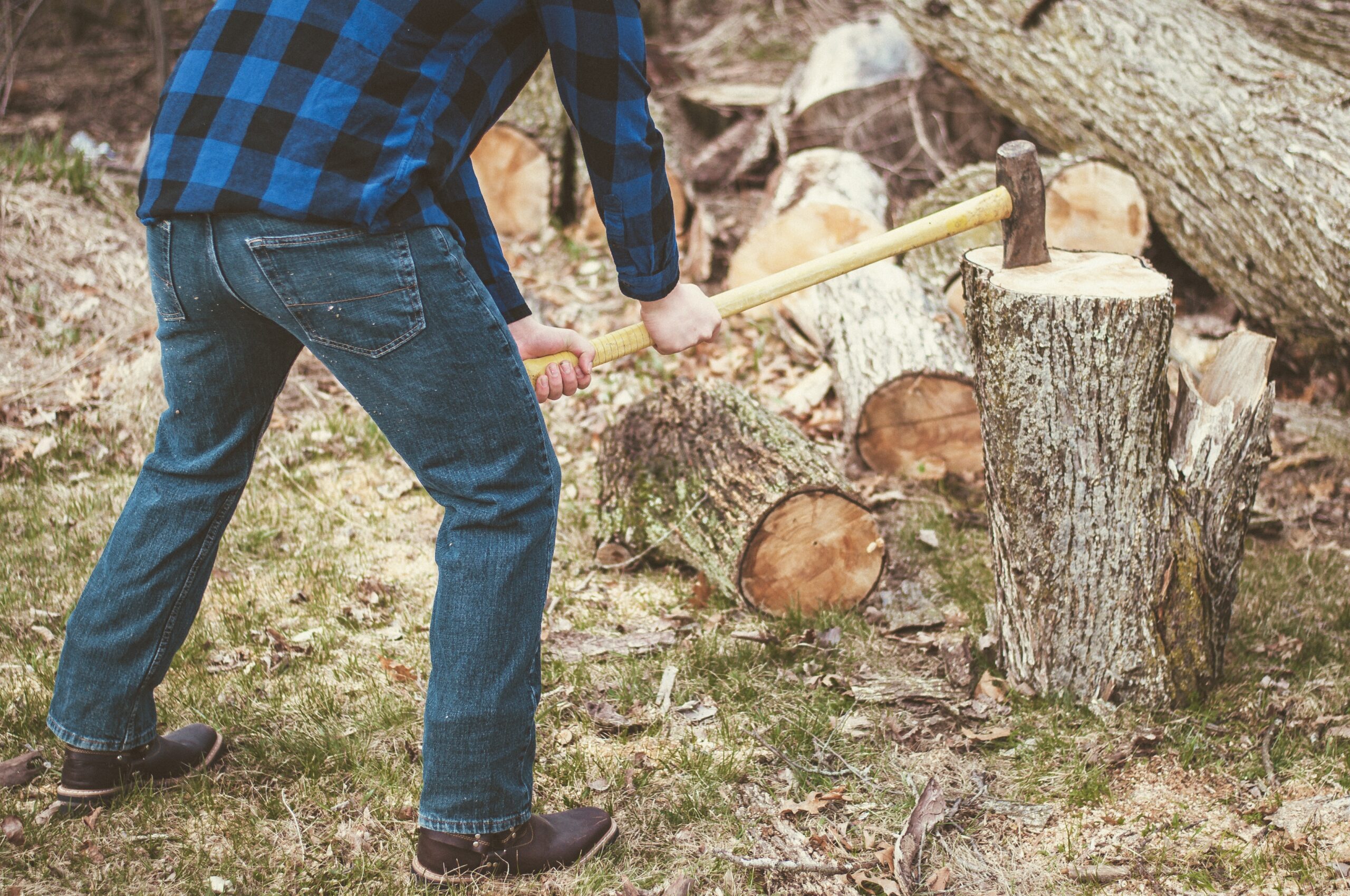 properly ground stump leaves the area clean and level