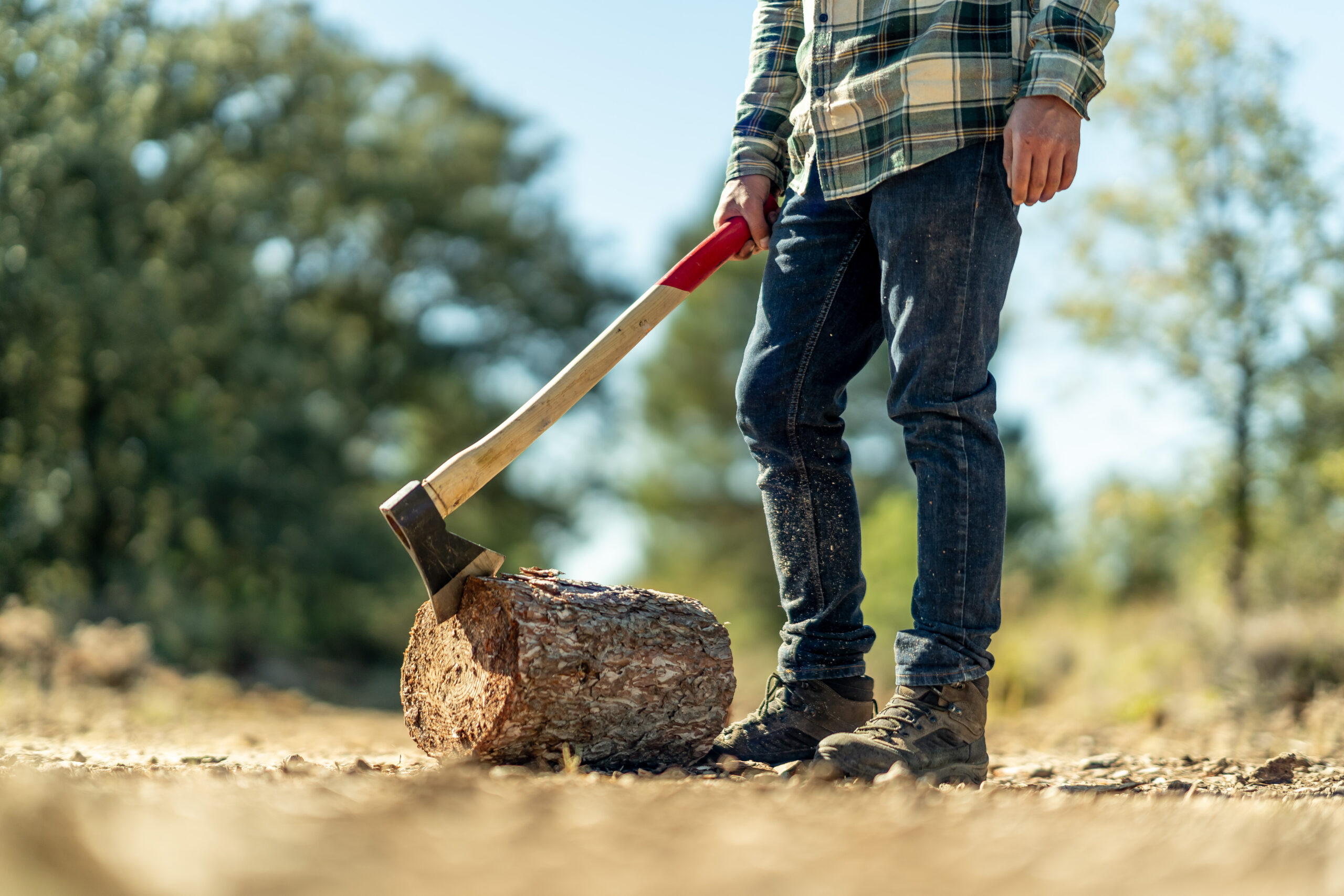 Stump grinding in Longmont is most often needed by homeowners
