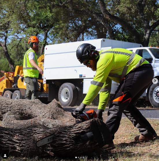 Commercial tree service in Longmont is most often needed by HOA boards