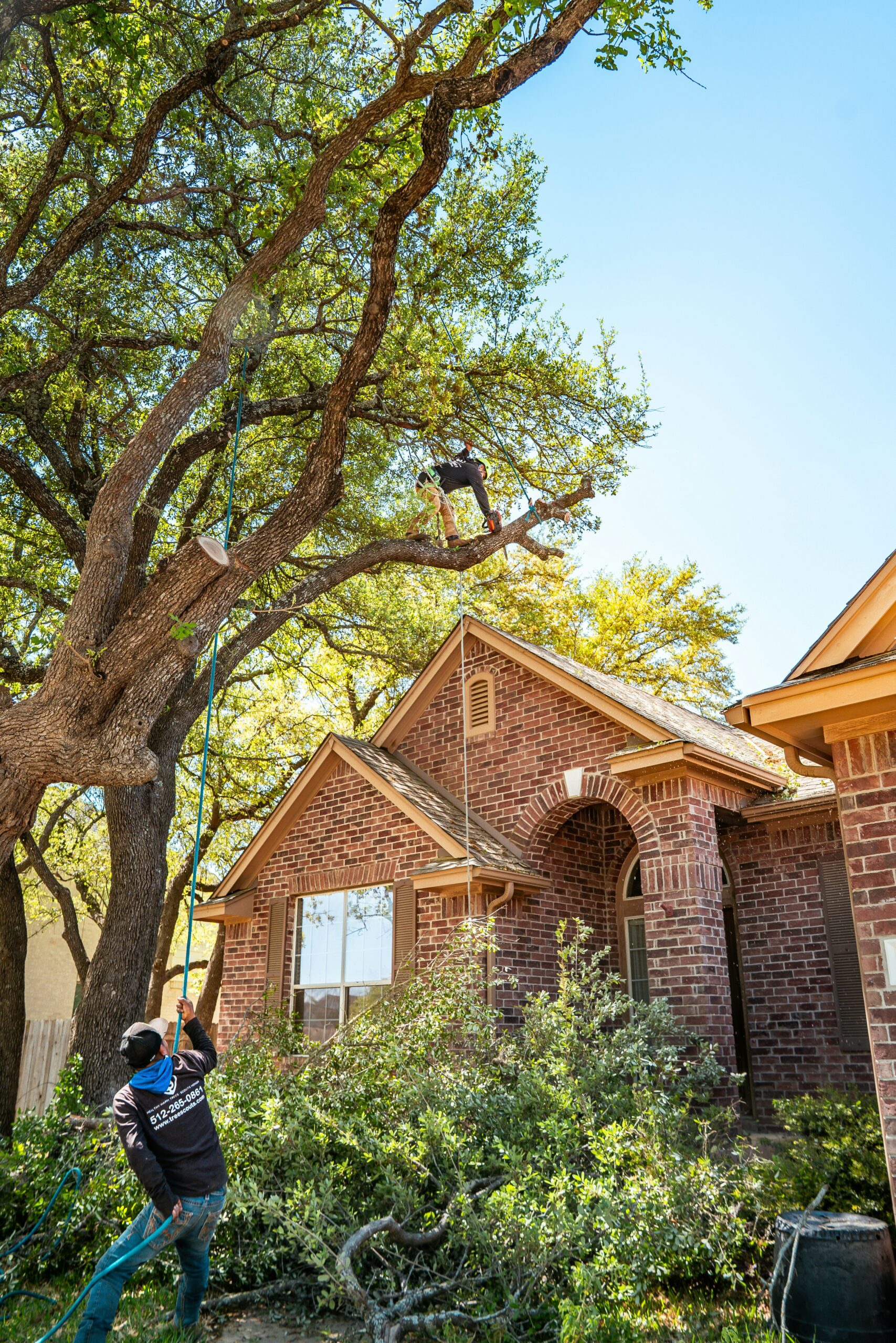 Full Cleanup Included, all debris chipped, hauled, or staged at your preference.
