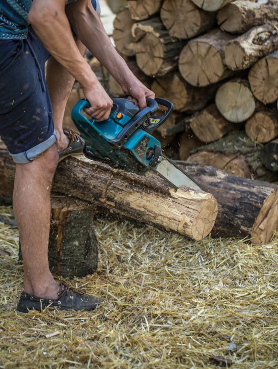 Professional stump grinding service removing a tree stump in Longmont and Boulder County, Colorado